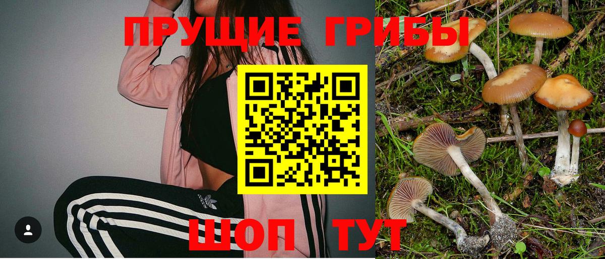 Псилоцибиновые грибы MAGIC MUSHROOMS Гусиноозёрск