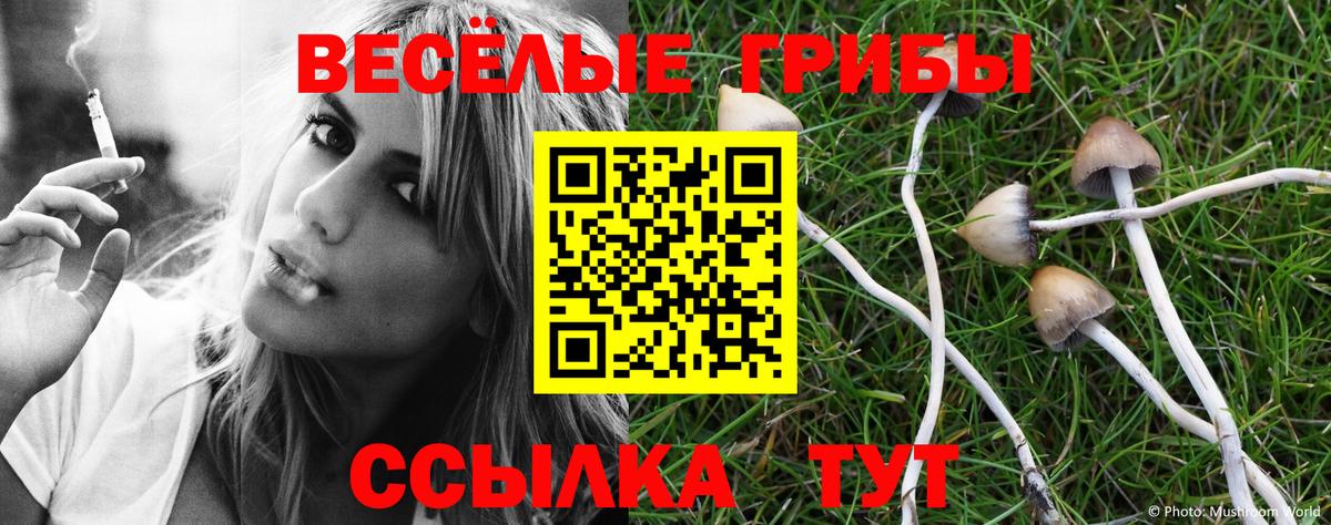 Галлюциногенные грибы мухоморы  Вход с VPN  Галлюциногенные грибы прущие грибы  Гусиноозёрск 